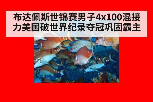 布达佩斯世锦赛男子4x100混接力美国破世界纪录夺冠巩固霸主